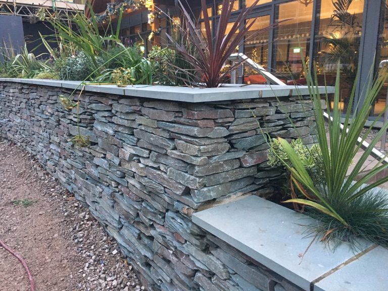 slate wall with plant features