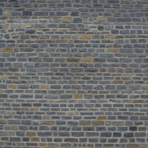 Blue Lias - Stone Cladding SLIPS